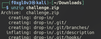 Commitment Issues - Unzipping challenge files