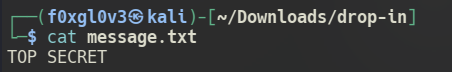 Commitment Issues - Checking CTF flag file