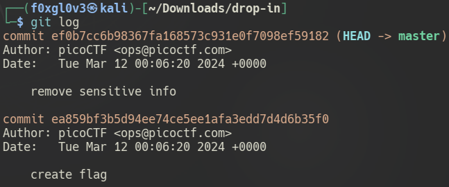 Commitment Issues - Checking commits log